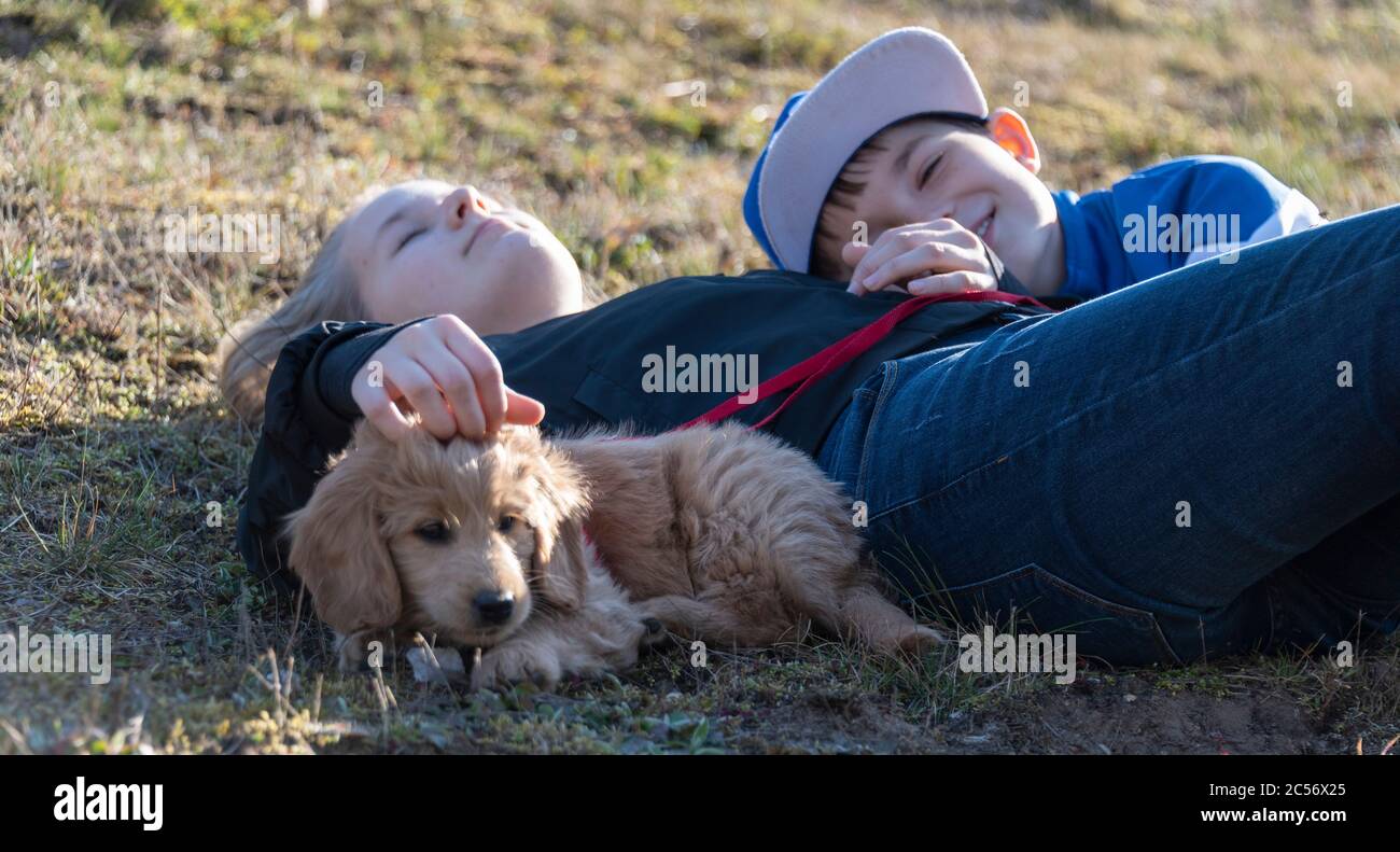 Zwei Kinder liegen mit ihrem Mini Golddoodle, einer Mischung aus Golden Retriever und Spielzeugpudel, glücklich auf einer Wiese. Stockfoto