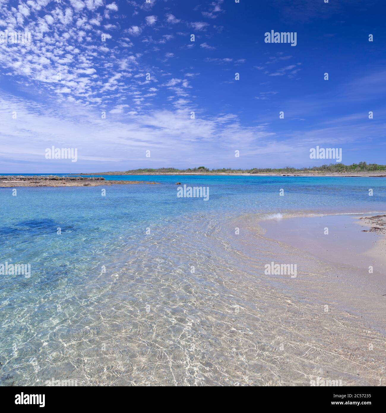 Torre Guaceto Naturschutzgebiet: Blick auf Sandstrand und Düne in Apulien, Italien. Mediterrane Macchia: Ein Naturschutzgebiet zwischen Land und Meer. Stockfoto