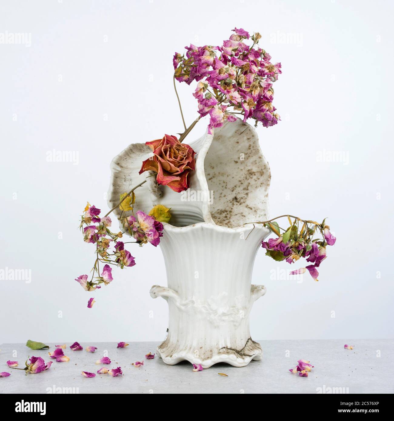 Blumenstrauß in einer weißen Vase Stockfoto