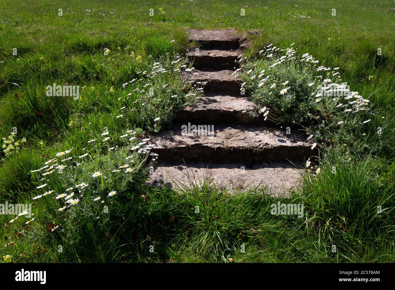 Steingarten Treppe, englischer Garten Stockfoto