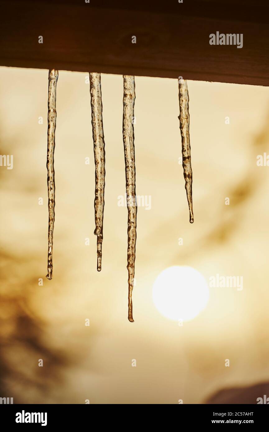 FLINTSBACH AM INN RIESIGER EISZAPFEN F LLT AUF JUNGEN UND visual data 6