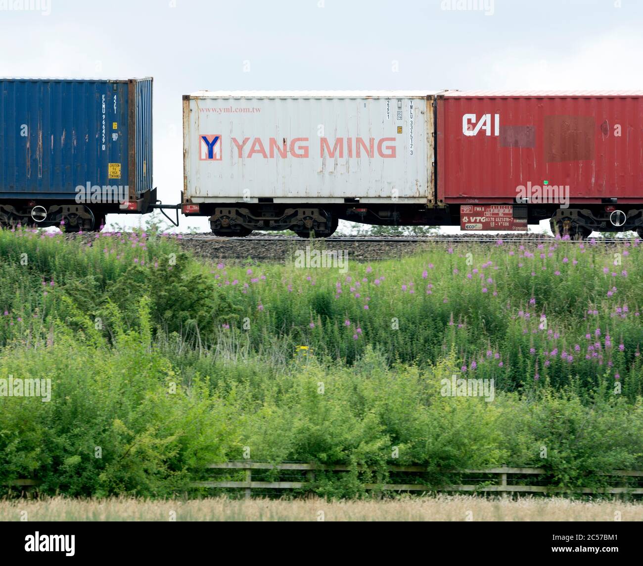 Yang Ming Transportcontainer auf einem freightliner Zug, Warwickshire, Großbritannien Stockfoto