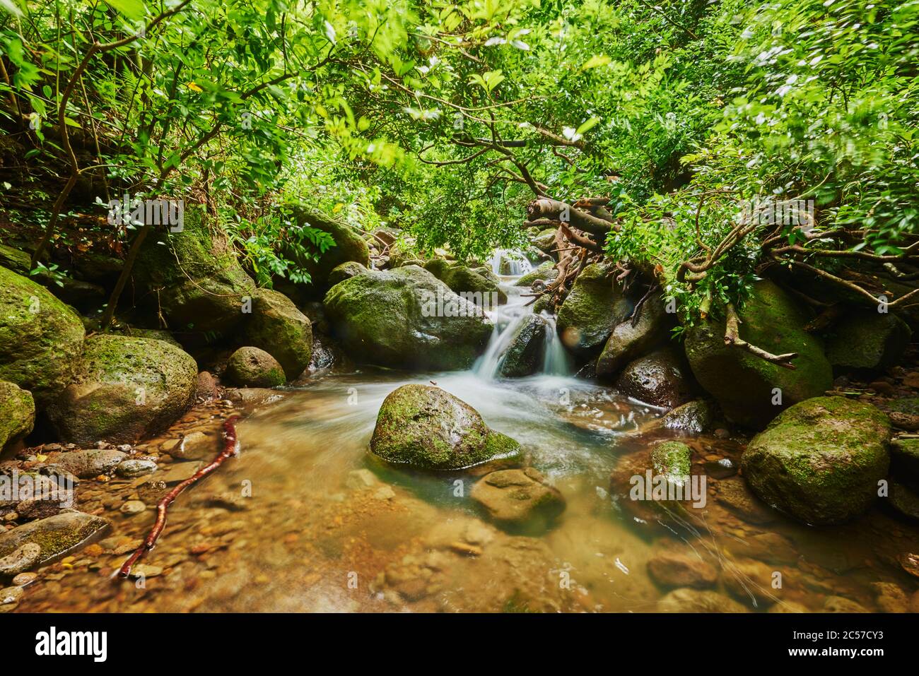 Lulumahu Falls im Honolulu Wasserscheide Waldreservat, Hawaiianische Insel Oahu, O'ahu, Hawaii, Aloha State, USA Stockfoto