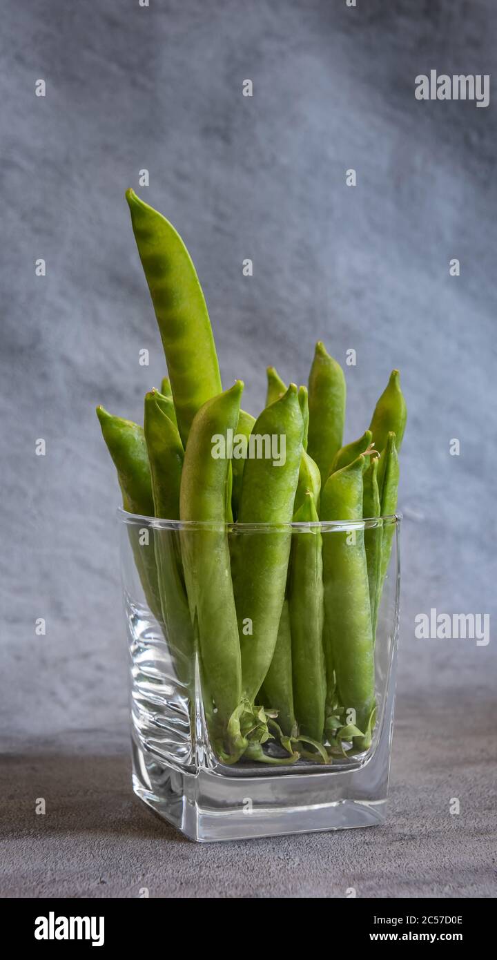 Ganze grüne süße Erbsenschoten in Trinkglas. Eine Hülse ragt aus dem Stapel und die Samen sind durch eine transparente Hülse sichtbar. Vertikaler grauer Hintergrund w Stockfoto