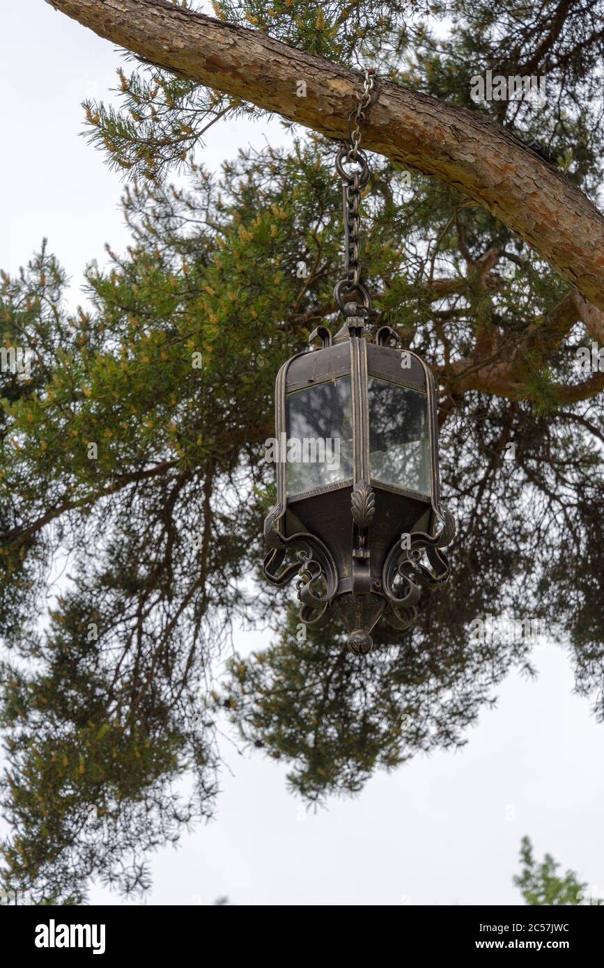 Schmiedeeiserne Laterne, die an einem Sommertag in einem Baum hängt. Eine alte Laterne auf einem Baum. Stockfoto