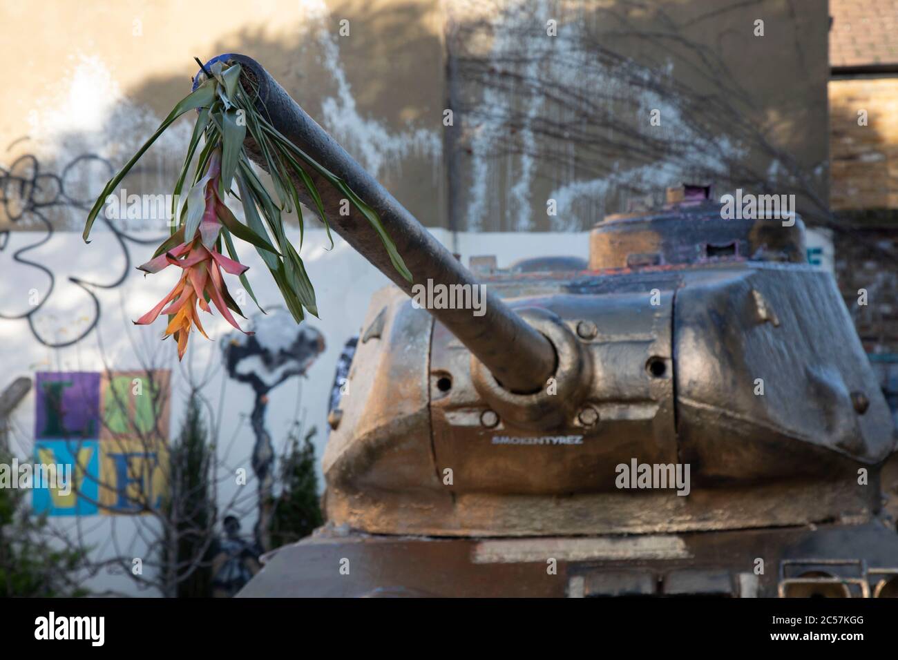 Gold bemalter Panzer mit Blumen aus seinem Geschützlauf am 9. Januar 2020 in London, England, Großbritannien herausragen. Der Mandela Way T-34 Tank, der auch Stompie oder Stumpie genannt wird, ist ein stillgelegter sowjetischer Kampfpanzer T-34-85, der sich jetzt dauerhaft an der Ecke Mandela Way und Pages Walk in Bermondsey befindet. Stockfoto