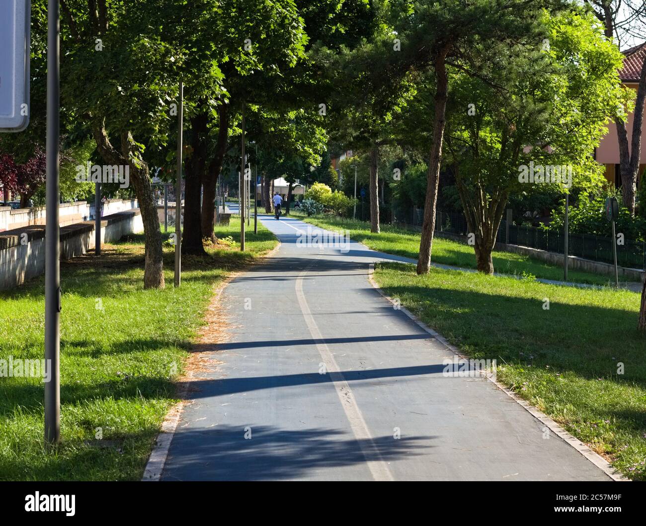 Blauer Radweg durch einen öffentlichen Park mit Rasen und Bäumen (Pesaro, Italien, Europa) Stockfoto