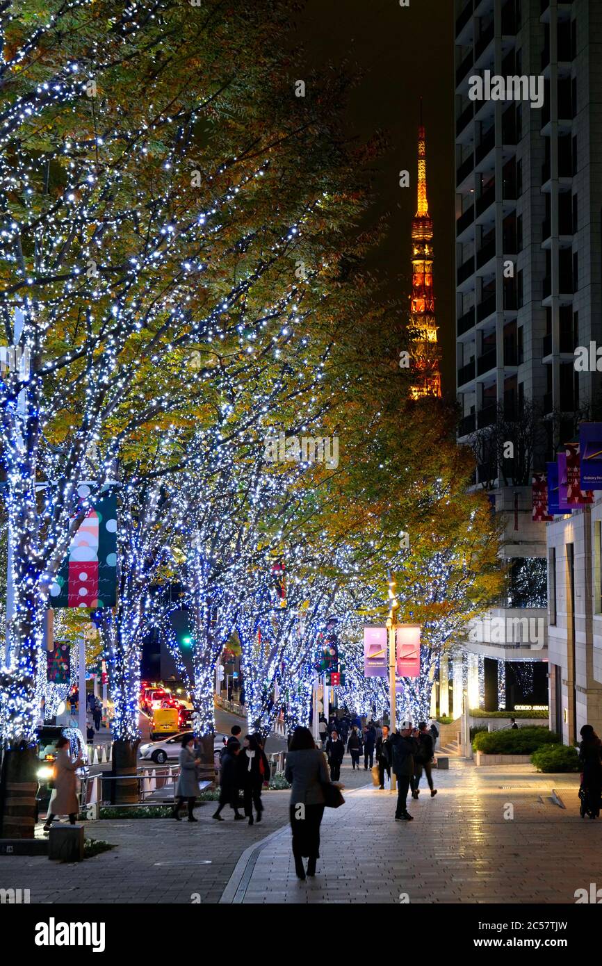 Japan, Honshu Island, Kanto, Tokio, Roppongi Viertel während Weihnachten. Stockfoto