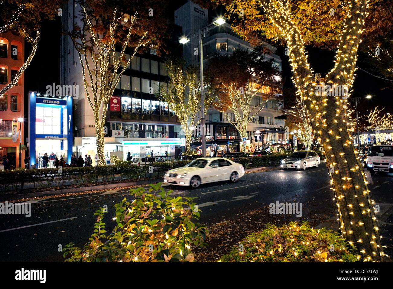 Japan, Honshu Insel, Kanto, Tokio, Weihnachtsbeleuchtung in Omotesando. Stockfoto