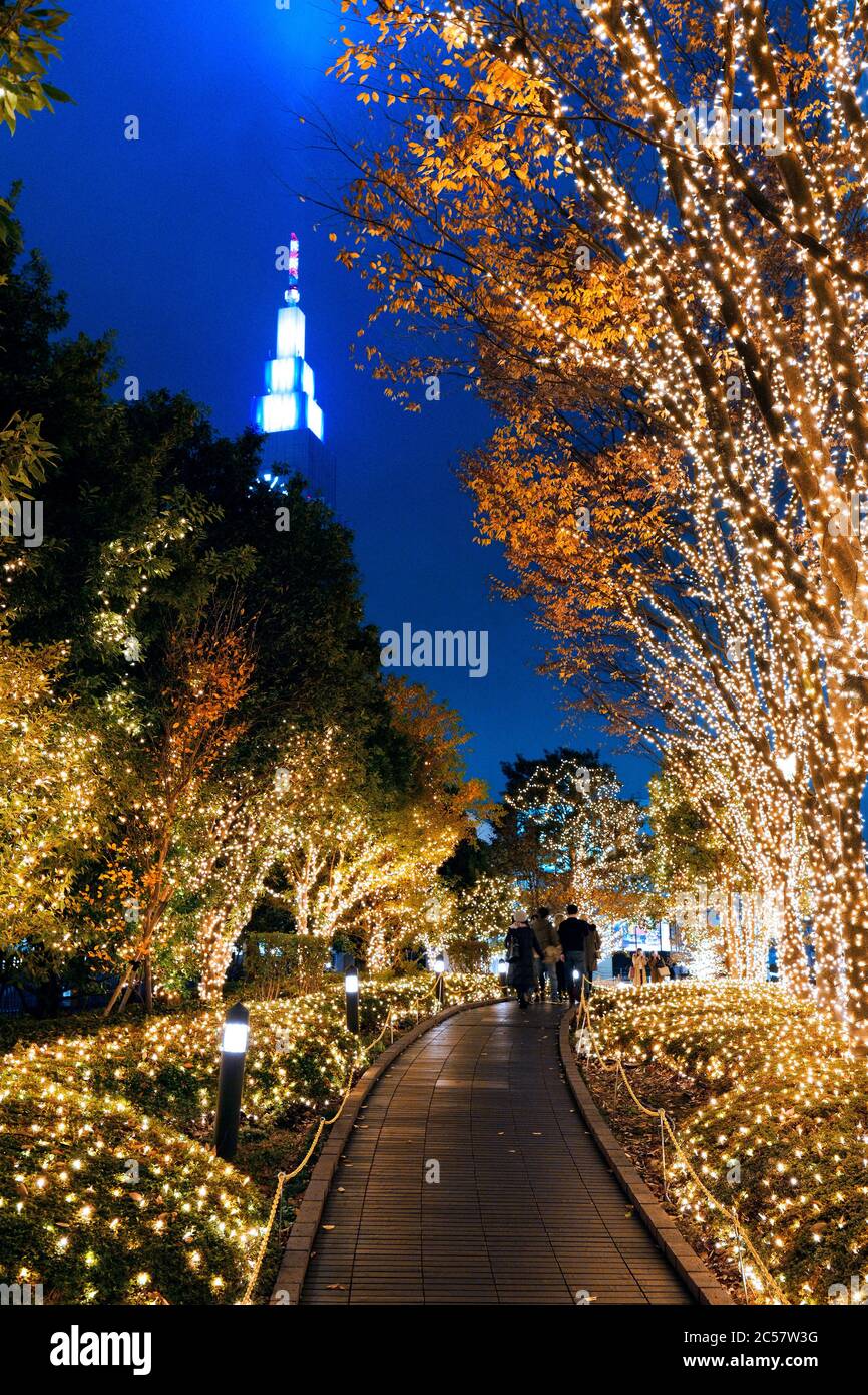 Japan, Honshu Insel, Kanto, Tokyo, Weihnachtsbeleuchtung in Shinjuku. Stockfoto
