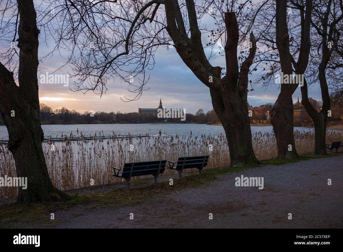 Leere Parkbänke und blattlose Bäume entlang der Wasserstraße Drugardsbrunnsviken bei einem Winteruntergang in Stockholm, Schweden. Stockfoto