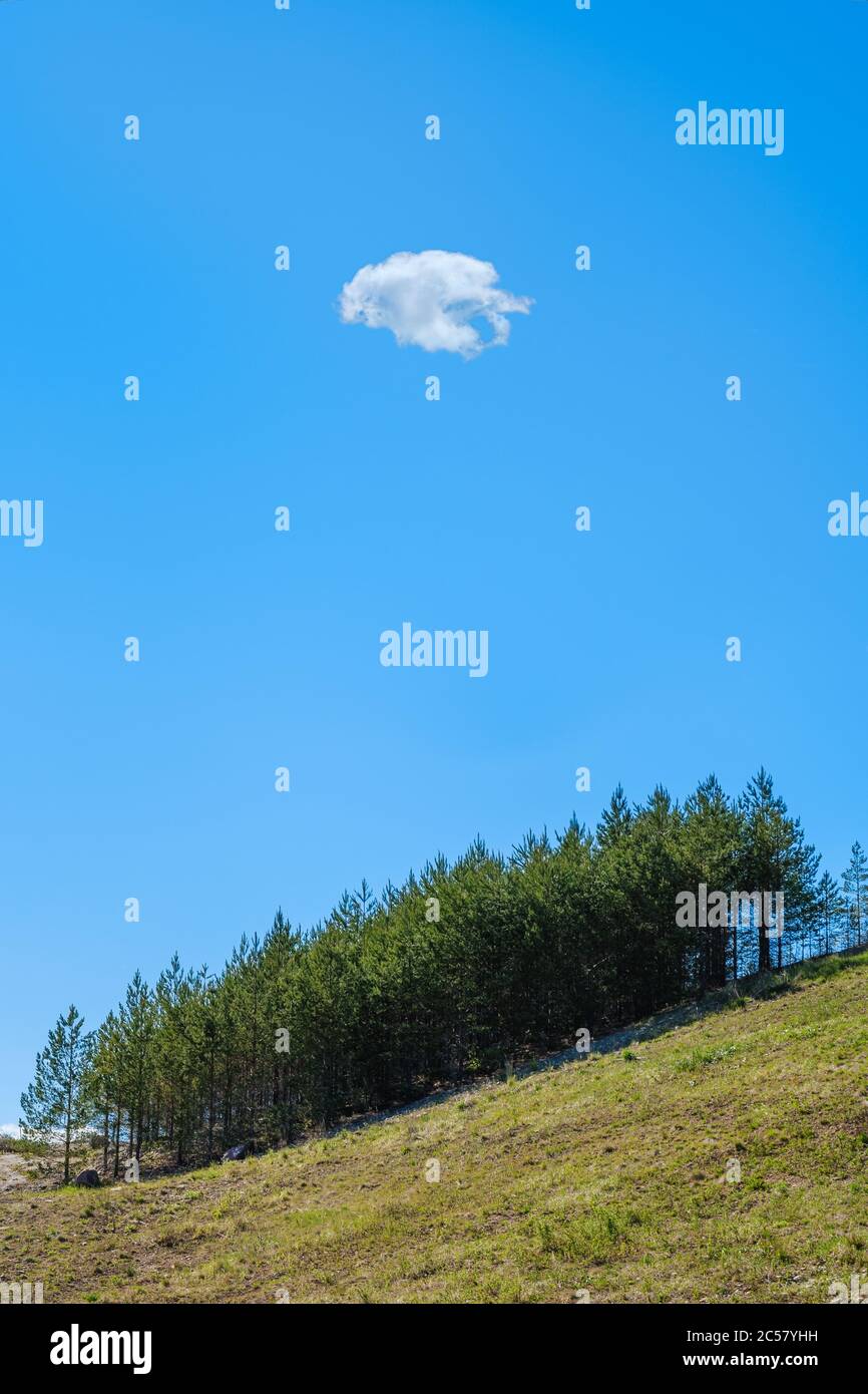 Einfache Landschaft mit einer Wolke und Baumlinien in warmen sonnigen Sommertag in Finnland Stockfoto