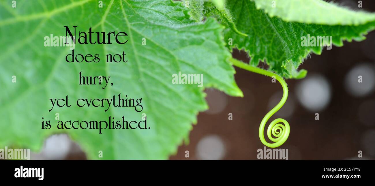 Download Beruehmte zitate leben Free HD