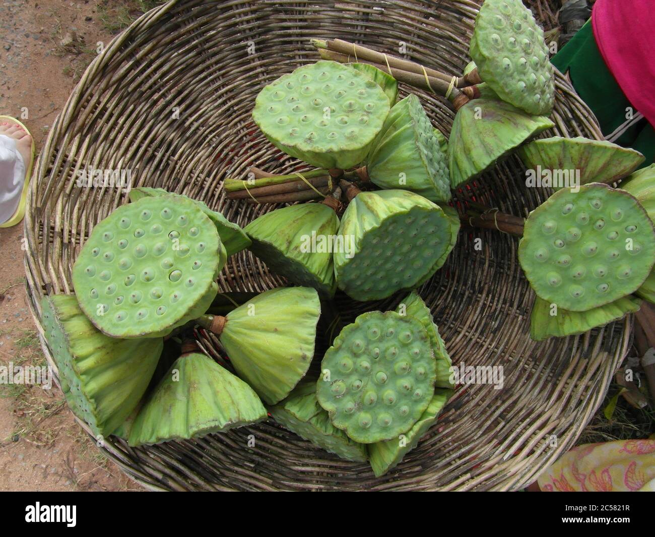 Kambodschanische Küche, Traditionen und Natur. Stadt Siem Reap und Vororte. Ungewöhnliche Ferien. Stockfoto