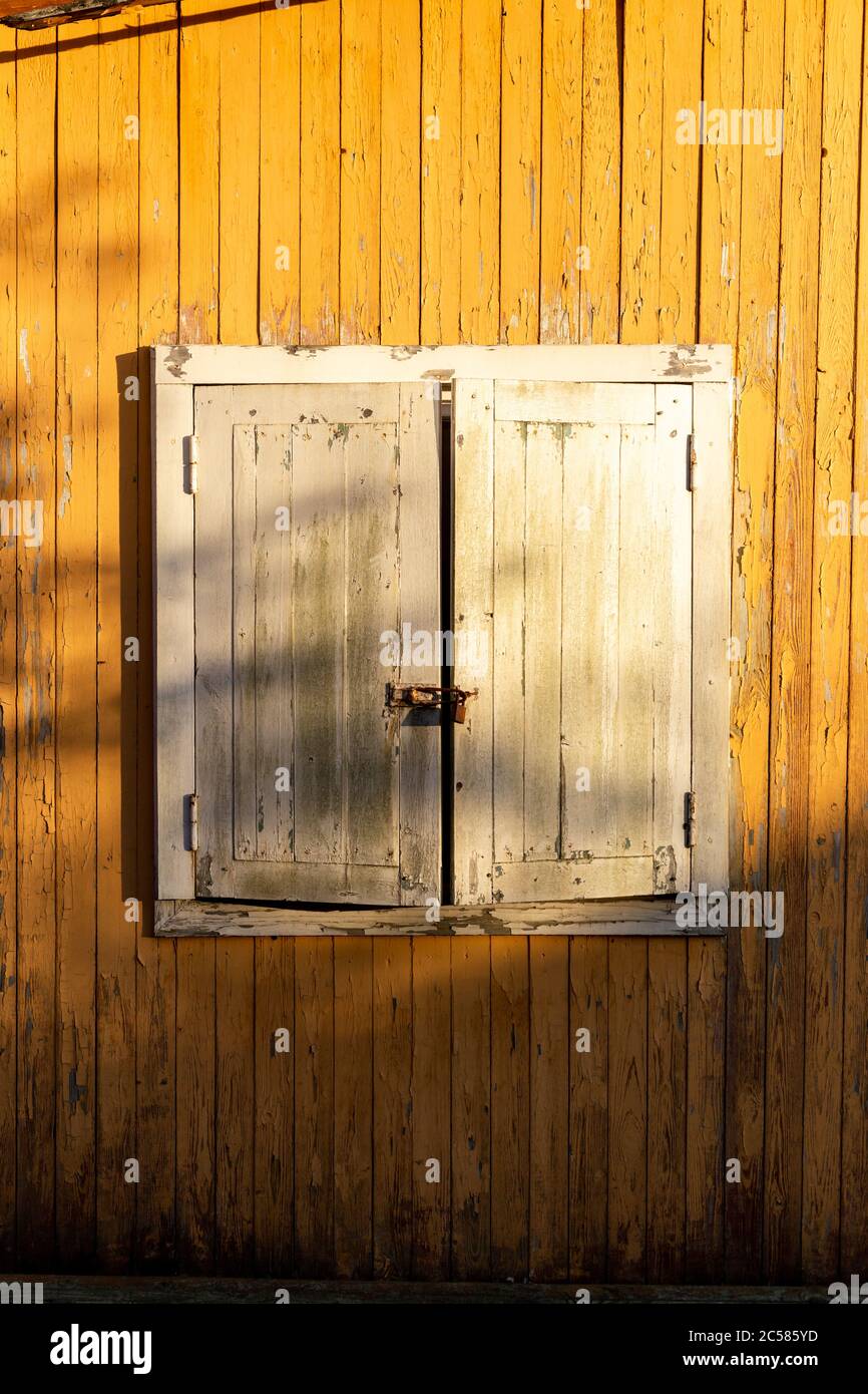 Weiße Fensterläden auf einem gelben Haus. Geschlossenes Fenster. Stockfoto