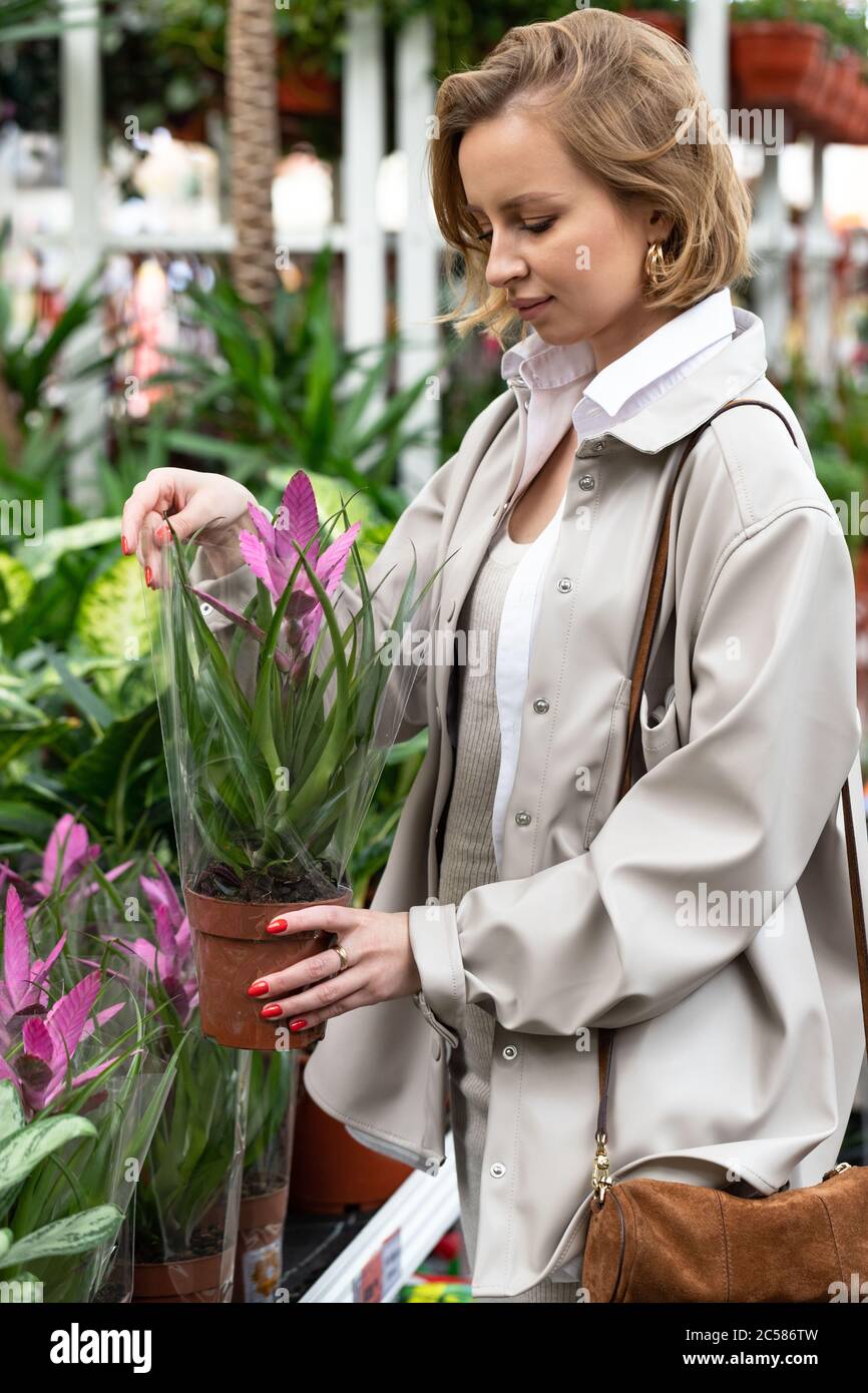Gartenarbeit, Pflanzkonzept. Hübsche Frau, die Bromeliade Pflanze für ihr Haus/Wohnung im Gewächshaus oder Gartencenter wählt. Stockfoto