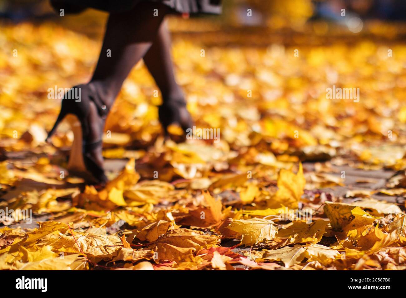 Frau, die bei sonnigem Wetter auf trockenen, gefallenen Blättern läuft, unscharfer Hintergrund, weicher Fokus. Weibliche Beine mit Fersen auf Herbstblättern Stockfoto