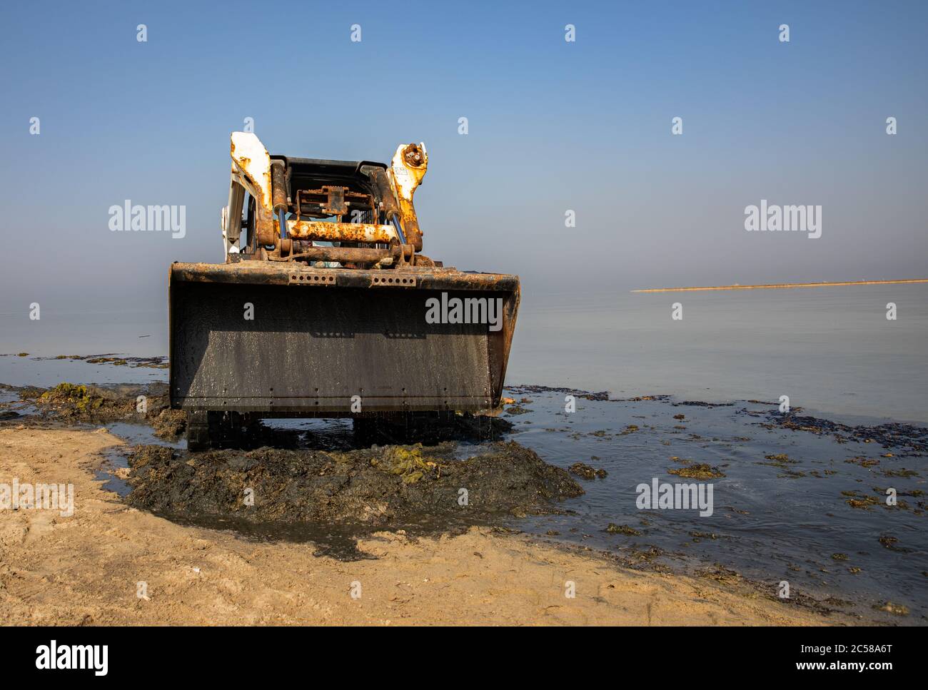 bobcat, arbeitet, um den Strand zu reinigen, Skid-Lader Stockfoto
