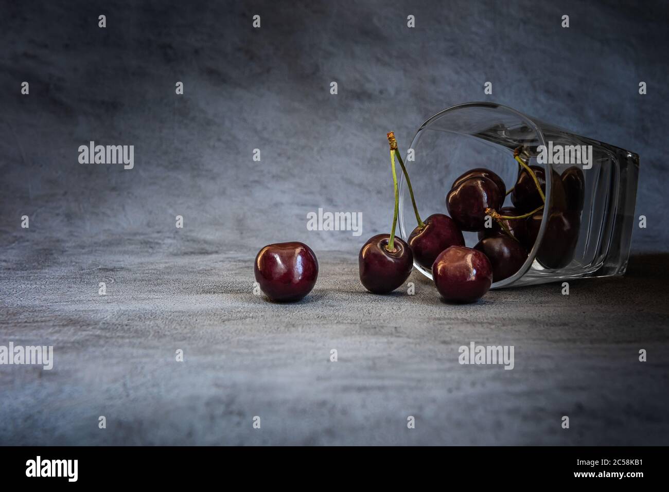 Reife dunkelrote und schwarze Süßkirschen im Glas. Glas liegt auf seiner Seite und einige Früchte sind aus ihm gefallen. Horizontaler grauer Hintergrund mit Cop Stockfoto