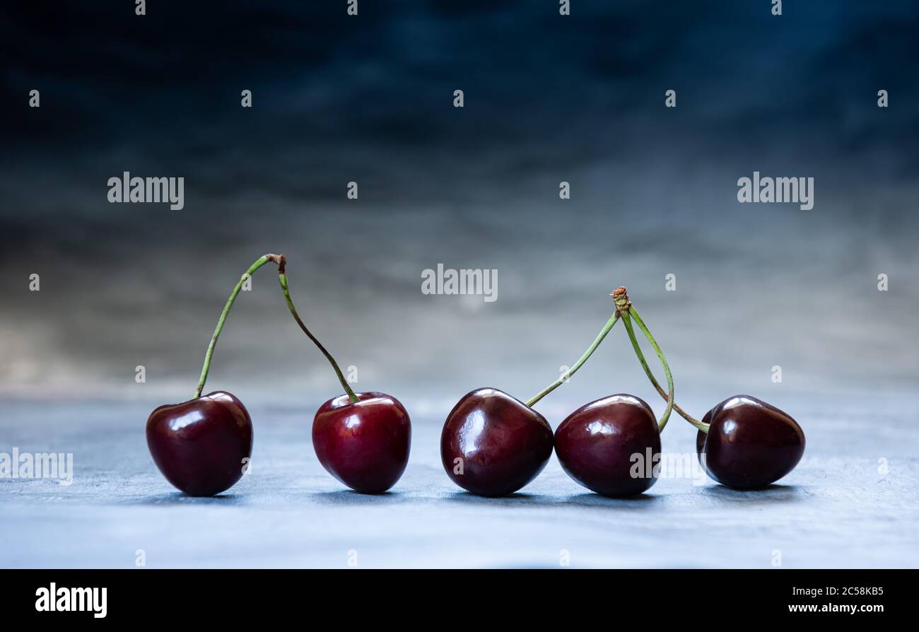 Nahaufnahme von reifen saftigen dunkelroten und schwarzen Süßkirschen. Fünf süße Kirschen in einer Reihe auf blauer Oberfläche. Horizontaler Hintergrund mit Kopierbereich. Gesund Stockfoto