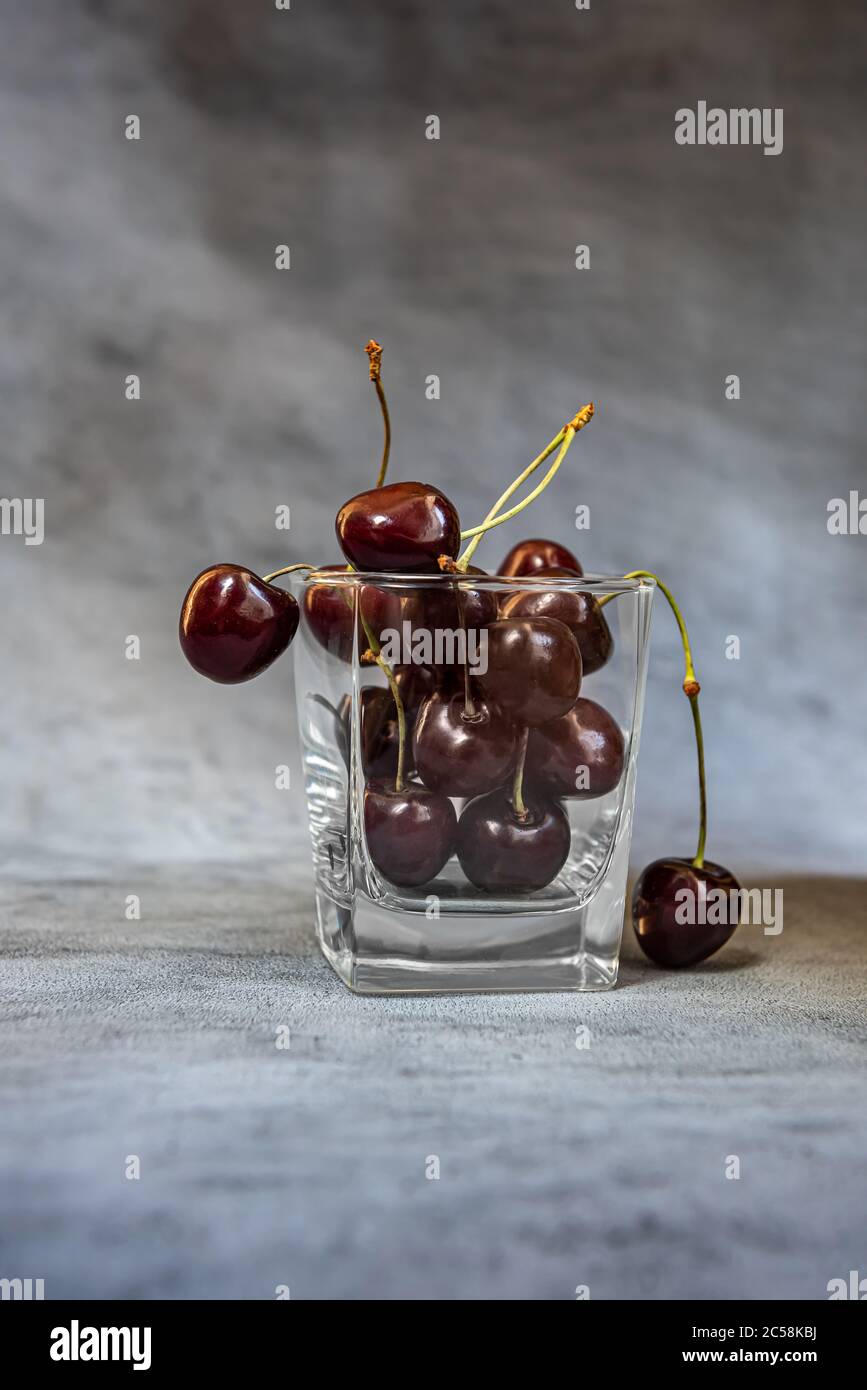 Reife dunkelrote und schwarze Süßkirschen im Glas. Zwei süße Kirschen ragen heraus und fallen aus dem Glas voller Früchte. Vertikaler grauer Hintergrund w Stockfoto
