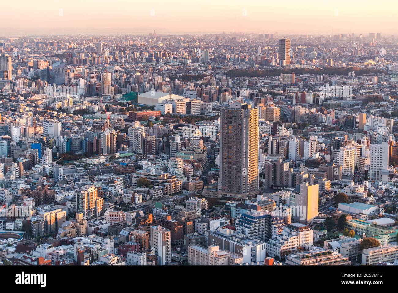 Tokio, Japan - 16. November 2019: Shibuya Scramble Square wurde im November 2019 in Shibuya, Tokio, Japan eröffnet. Auf dem Dach kann man 'Shibuya Sky' Charg nehmen Stockfoto