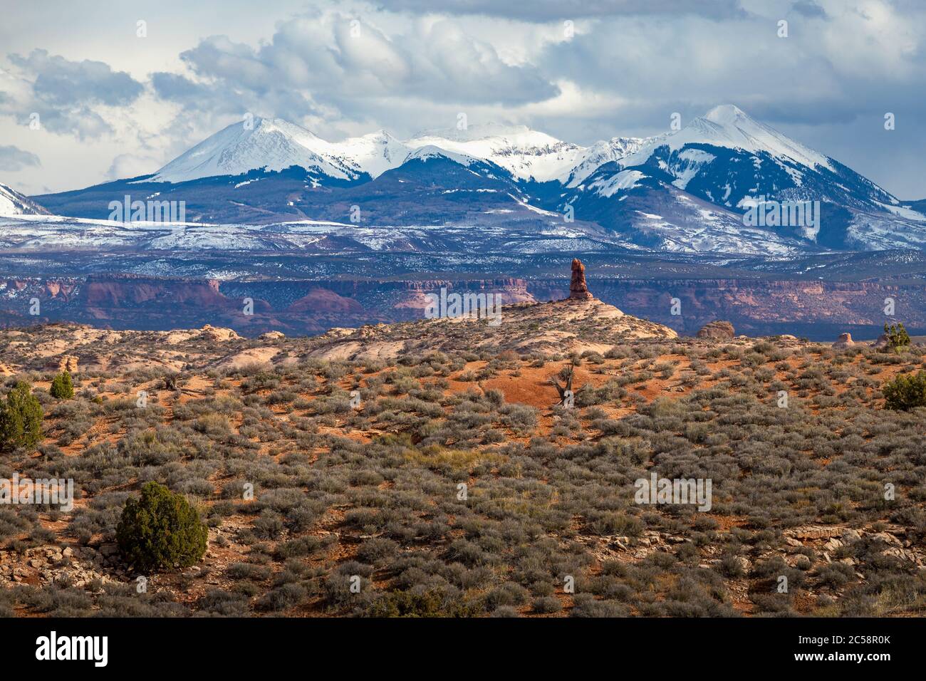 Einzelne Sandsteinfelsen in der hohen Wüste mit schneebedeckten La Sal Mountains im Hintergrund, Arches National Park, Moab, Utah Stockfoto