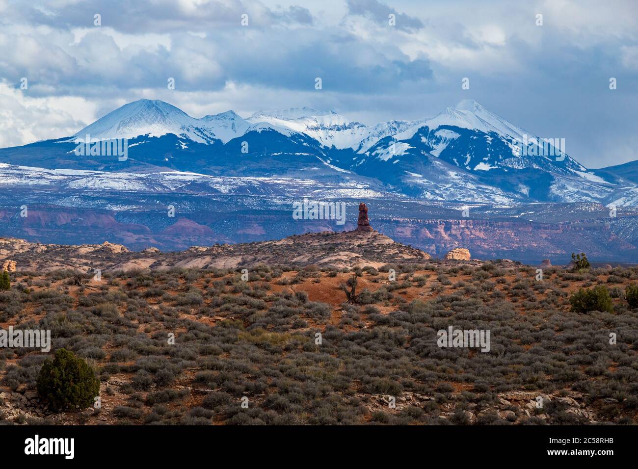 Bunte Ansicht der Parade der Elefanten Sandstein Felsformationen in der hohen Wüste mit schneebedeckten La Sal Berge im Hintergrund, Arches National Stockfoto