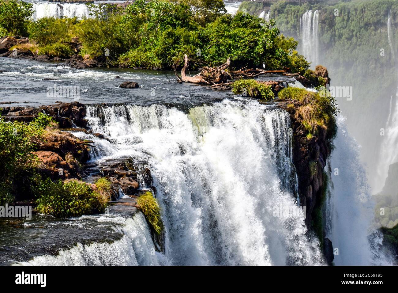 Landschaft an den Iguazu Wasserfällen an der Grenze zu Brasilien und Argentinien Stockfoto