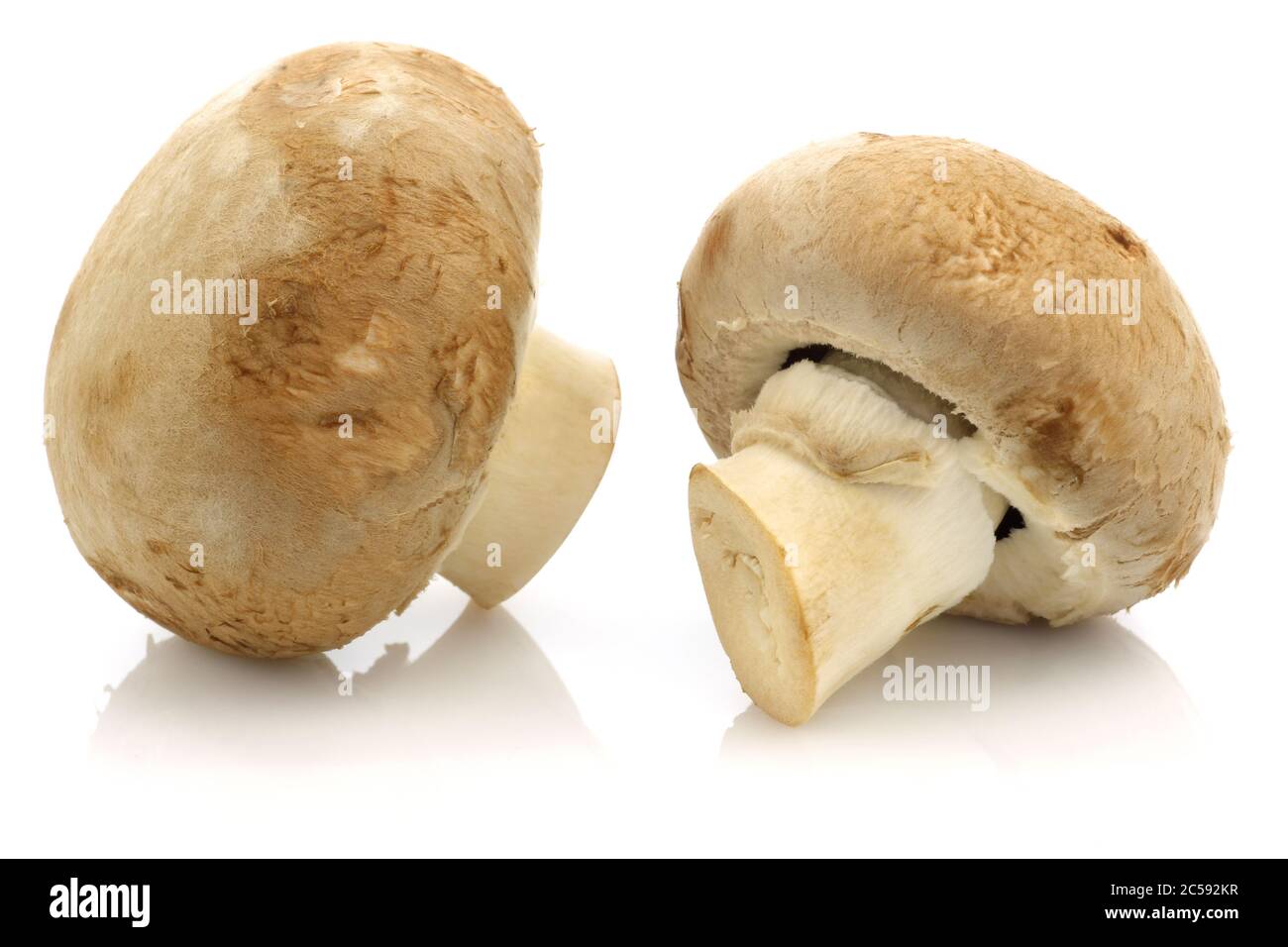 Zwei ganze braune Champignon-Pilze auf weißem Hintergrund Stockfoto