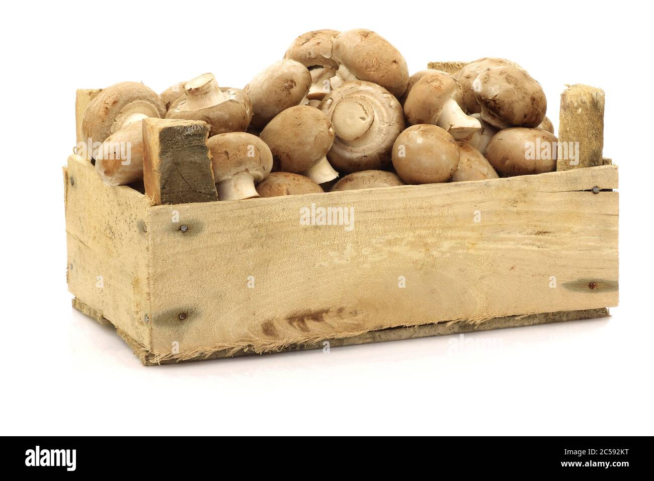Champignon-Pilze in einer Holzkiste auf weißem Grund braun anbraten Stockfoto