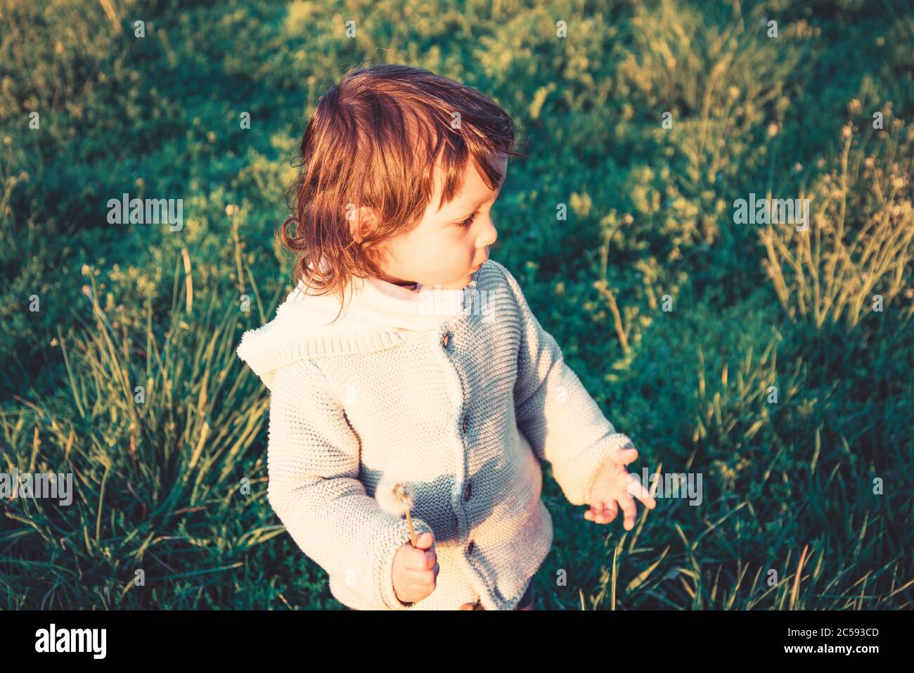 Portrait von niedlichen kleinen Jungen spielen auf dem Gras Stockfoto