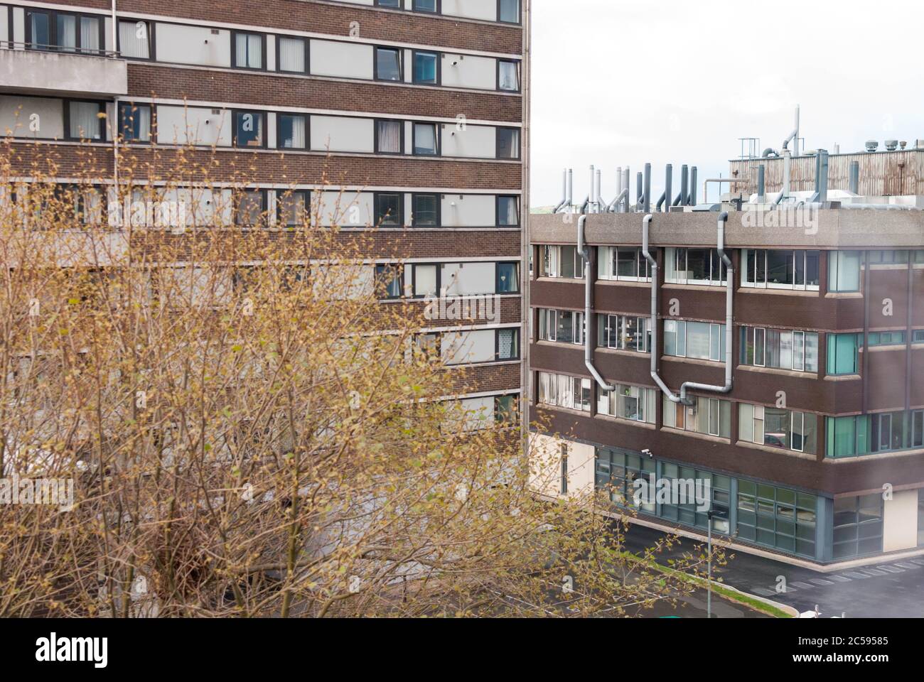 Gebäude Fassade in einem bewölkten Tag in Belfast Stockfoto