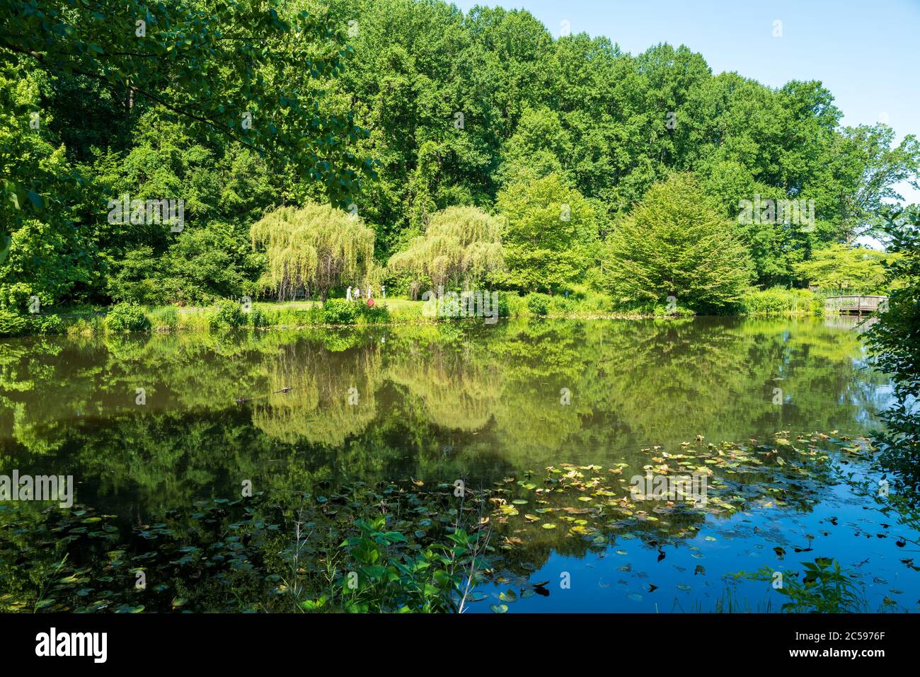 Foto mit Blick auf den Gardiner See in Meadowlark Botanischer Garten in Wien, VA. Stockfoto