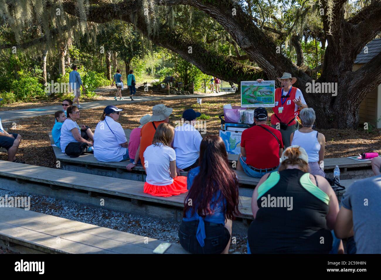Ein Lehrer unterrichtet einen Outdoor-Kurs über Seekühe unter dem spanischen Moos einer lebenden Eiche während eines Programms im Manatee Park, Fort Myers, Florida, USA Stockfoto