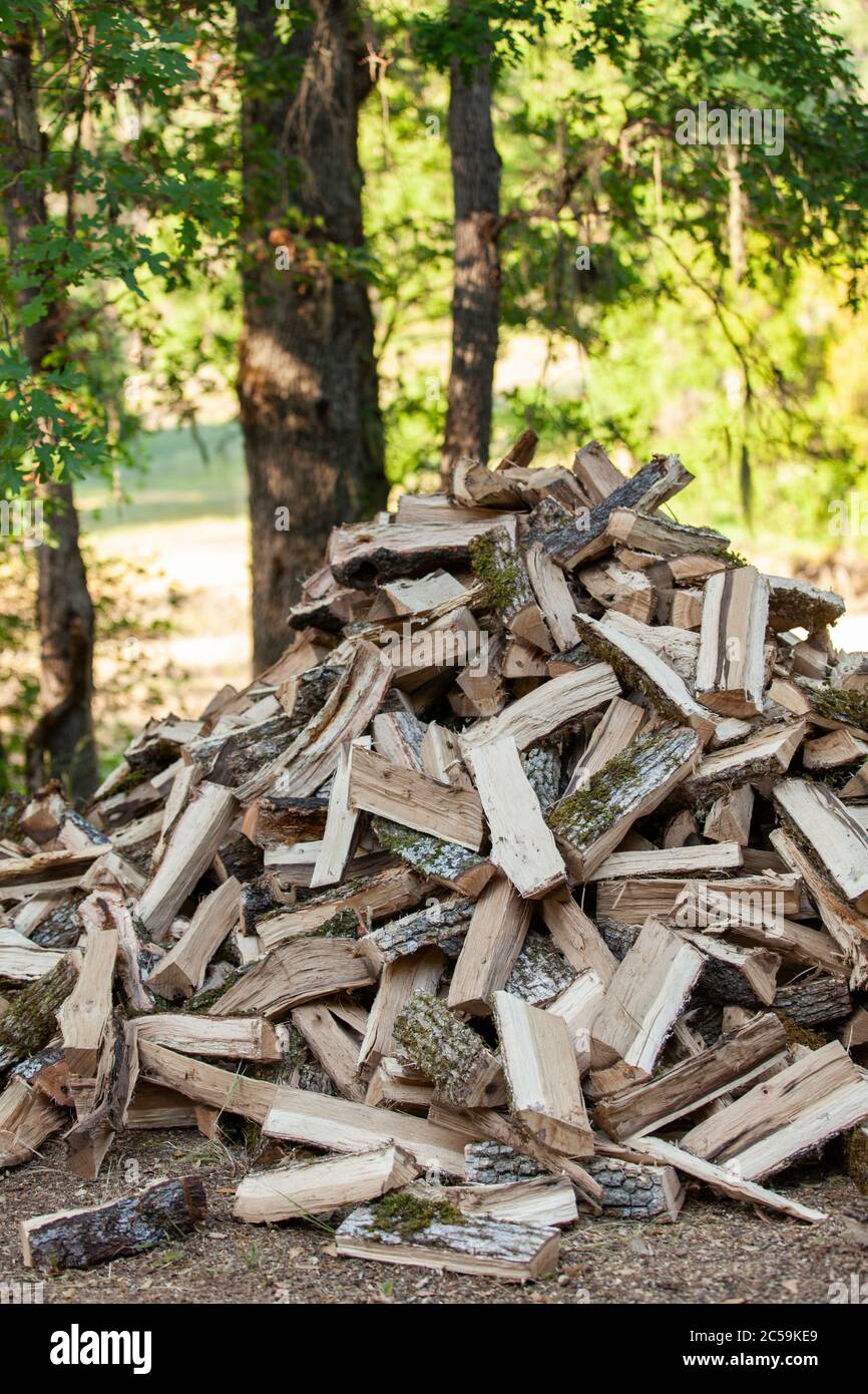 Stapel von gespaltenen Holzstämmen für Feuerholz Stockfoto