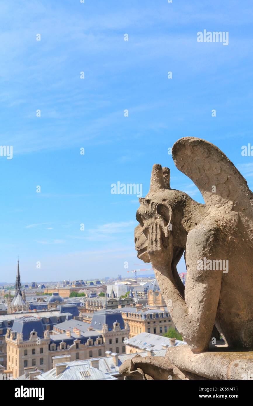 Frankreich, Paris, Kathedrale Notre-Dame de Paris, Schornstein im neugotischen Stil (XIX. Jahrhundert), installiert vom Architekten Eugène Viollet-le-Duc, la Stryge Stockfoto