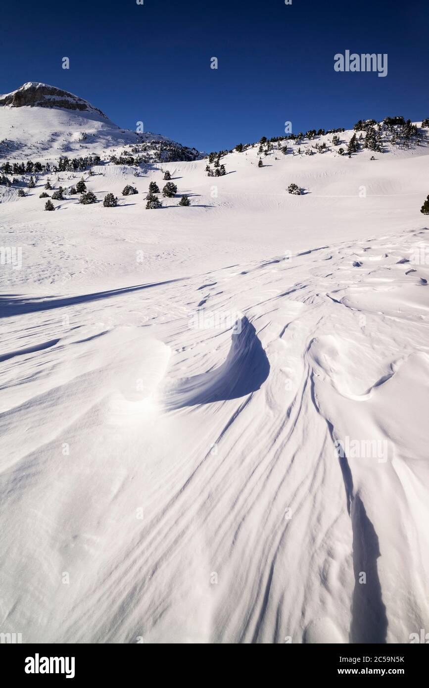 Frankreich, Drome, regionaler Naturpark Vercors, Treschenu Creyers, Combeau-Tal, Hochplateaus-Naturschutzgebiet, Pas de l'Essaure (Bergpass) Stockfoto