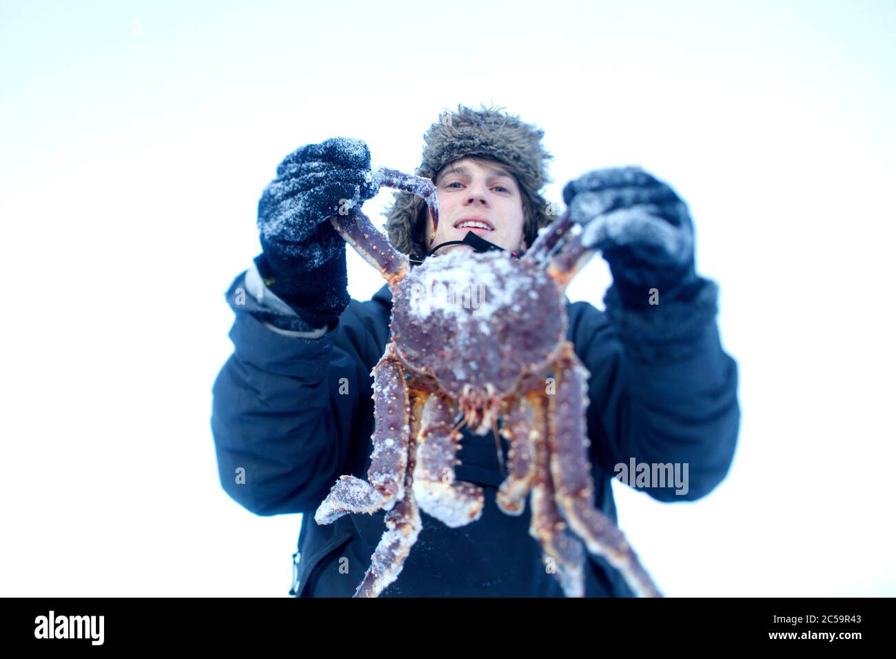 Norwegen, Lappland, Finnmark County, Kirkenes, ronny der Krabbenfischer  holt die Krebstiere aus einem Fischteich heraus Stockfotografie - Alamy