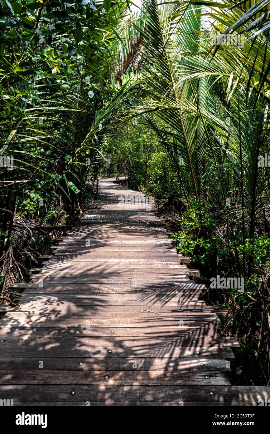 Chek Jawa Trail, Pulau Ubin, Singapur Stockfoto