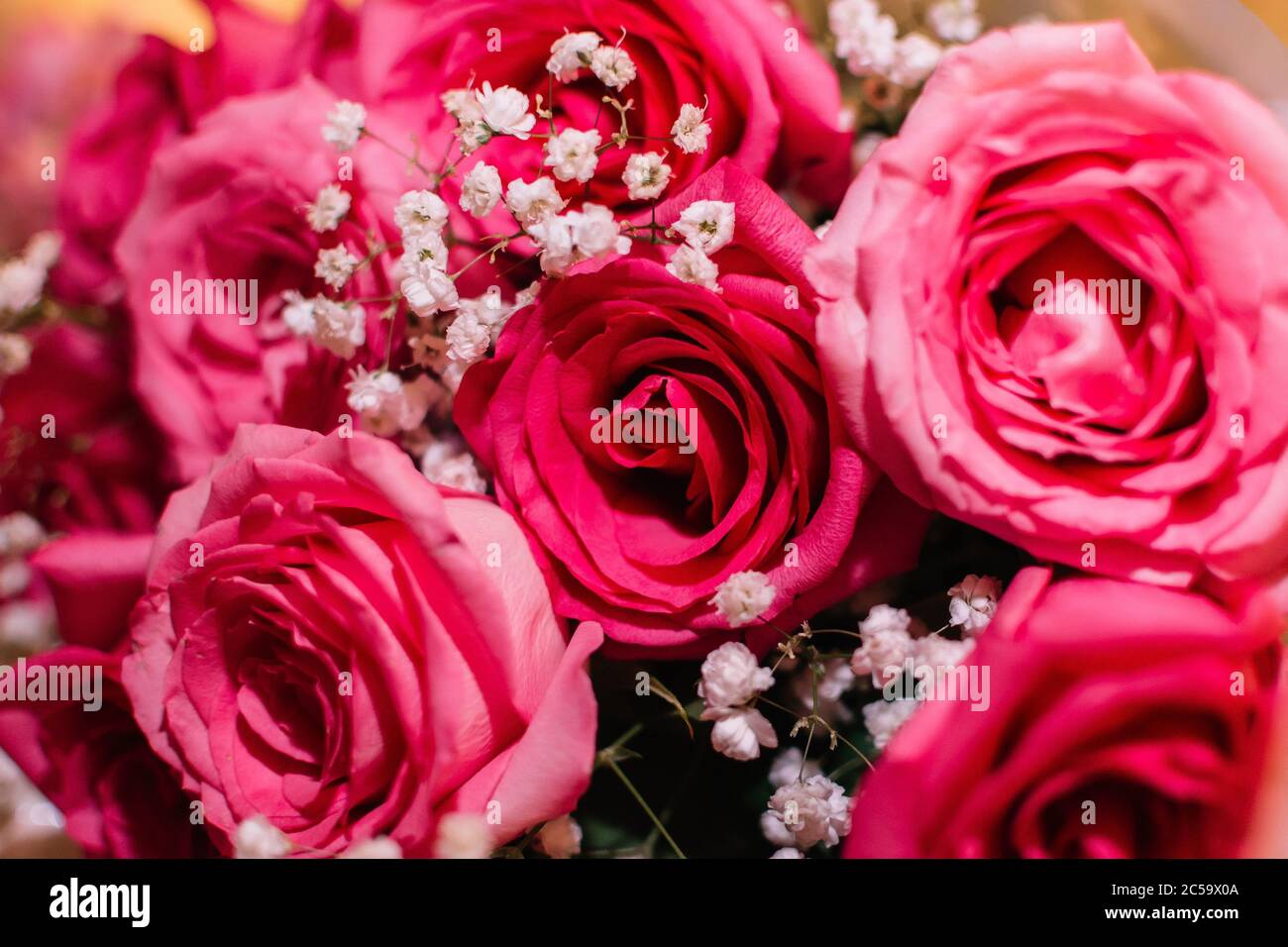 Festlicher Strauß von großen rosa Rosen Nahaufnahme Stockfoto