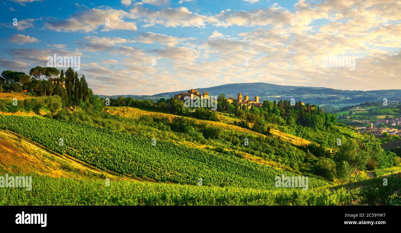Certaldo Alto mittelalterliche Skyline und Blick auf die Weinberge. Florenz, Toskana, Italien. Geburtsort von Boccaccio, Autor von Decameron. Stockfoto