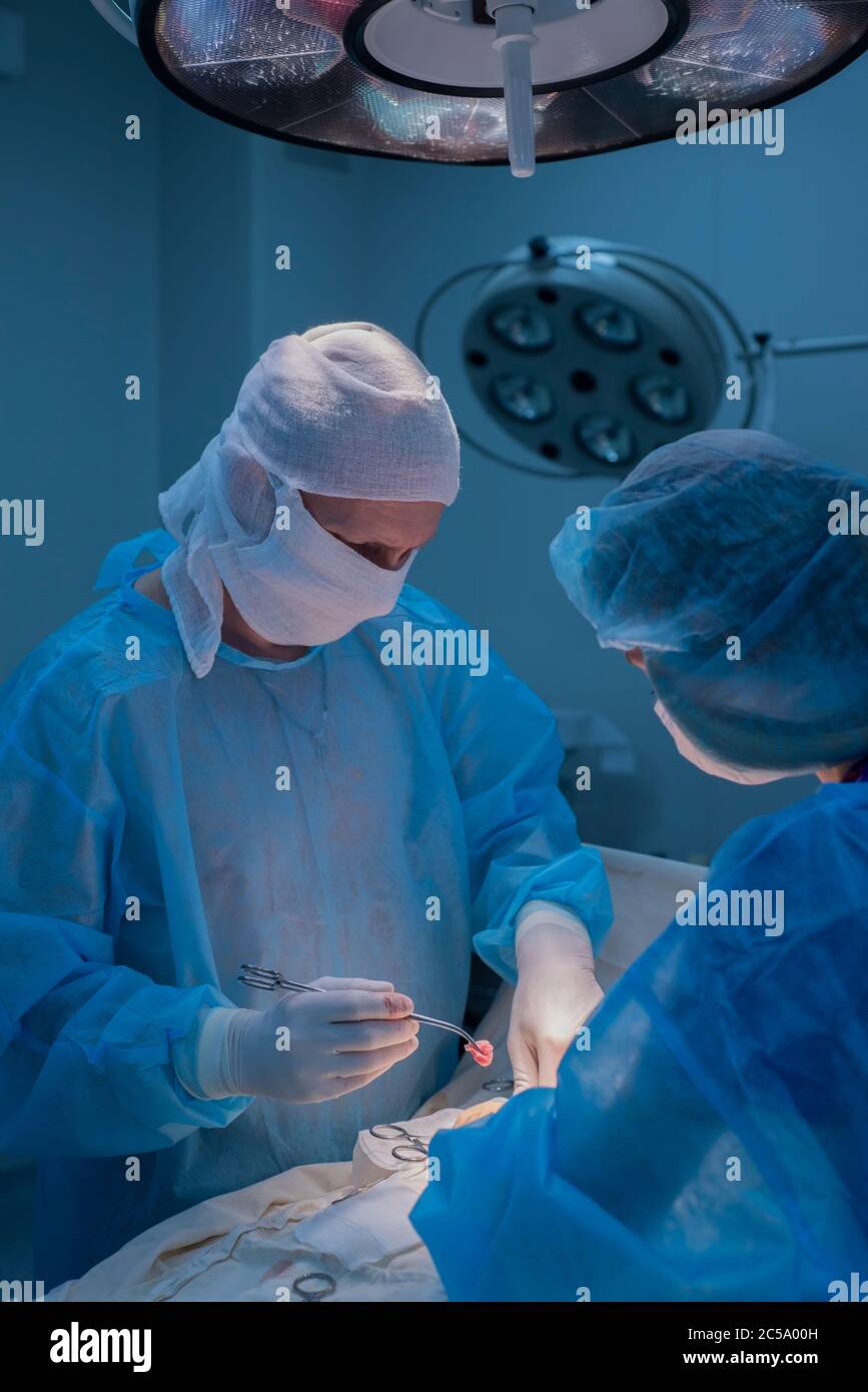 Kinderchirurgen führen urologische Operationen durch. Ein Mann und eine Frau in einer Maske und einem blauen sterilen Gewand im Operationssaal. Stockfoto