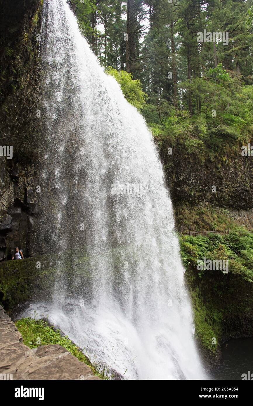 Lower South Falls im Silver Falls State Park in Oregon, USA. Stockfoto