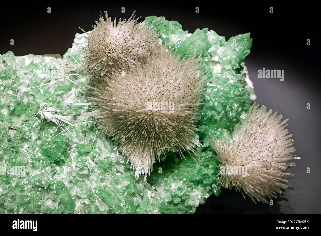 Mesolit-Kristalle auf grünen Fluorapophyllit-Kristallen Stockfoto
