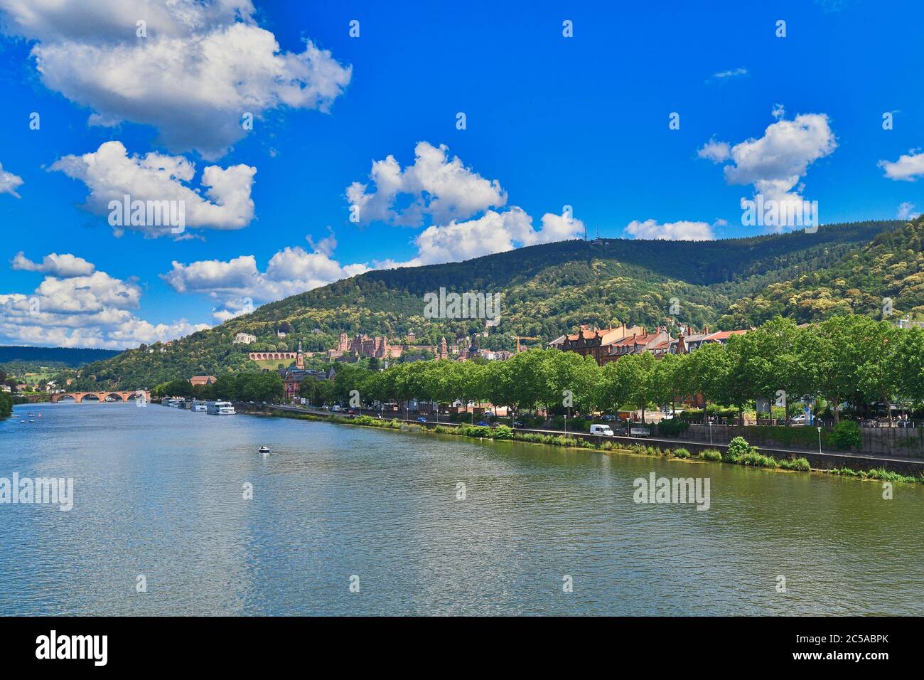 Heidelberg neckar mit alten historischen Gebäuden und Odenwald Gebirge mit berühmten Schloss in Deutschland im Sommer Stockfoto