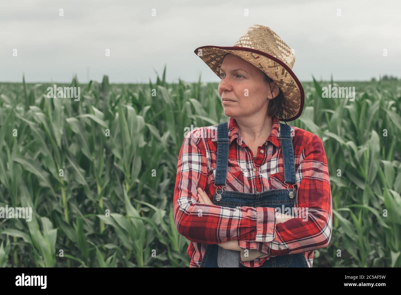 Porträt einer Bäuerin, die auf dem Maisfeld steht, einer Bauernarbeiterin in der Maisplantage Stockfoto