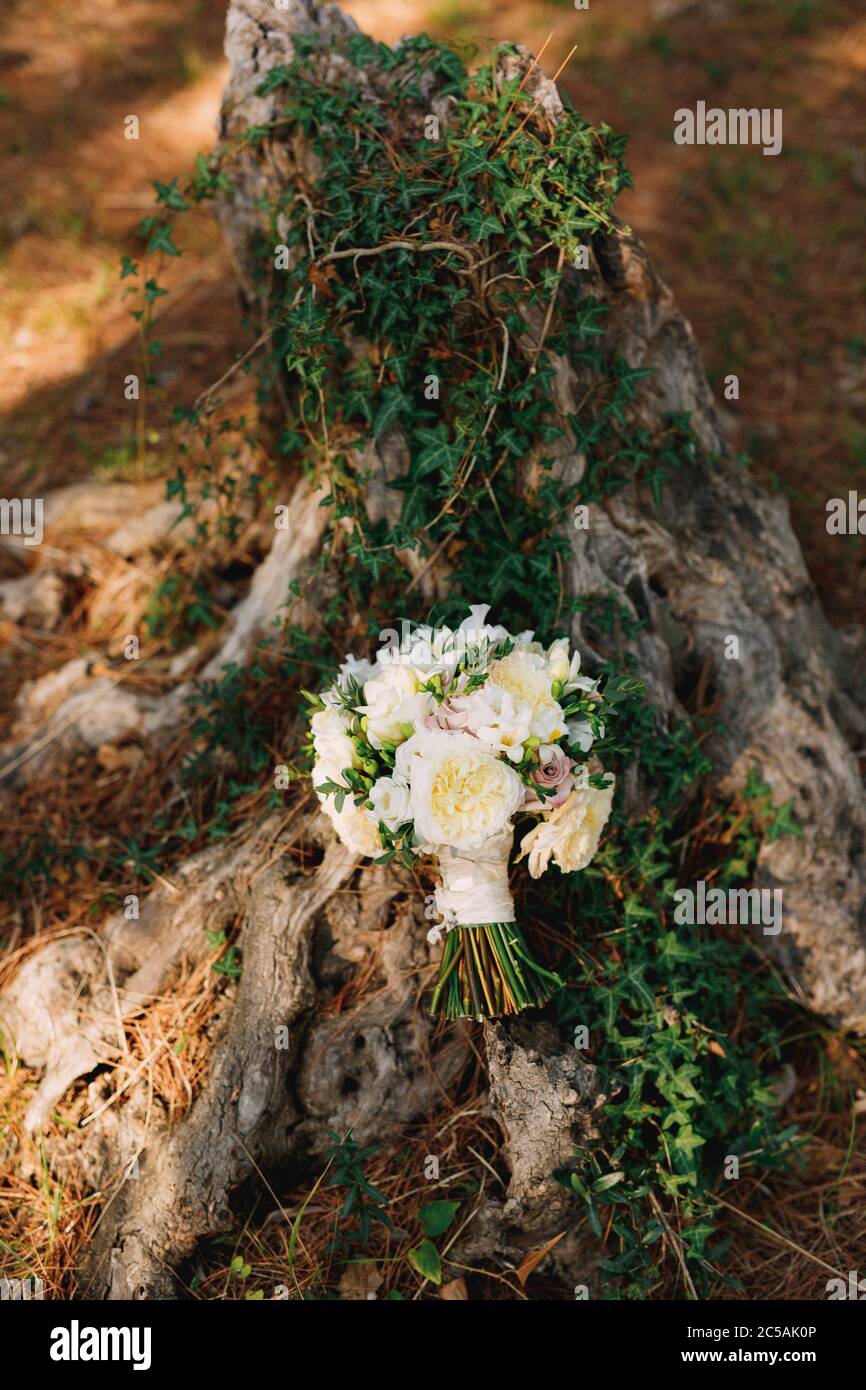 Brautstrau mit Rosen und Efeu Stockfotografie - Alamy