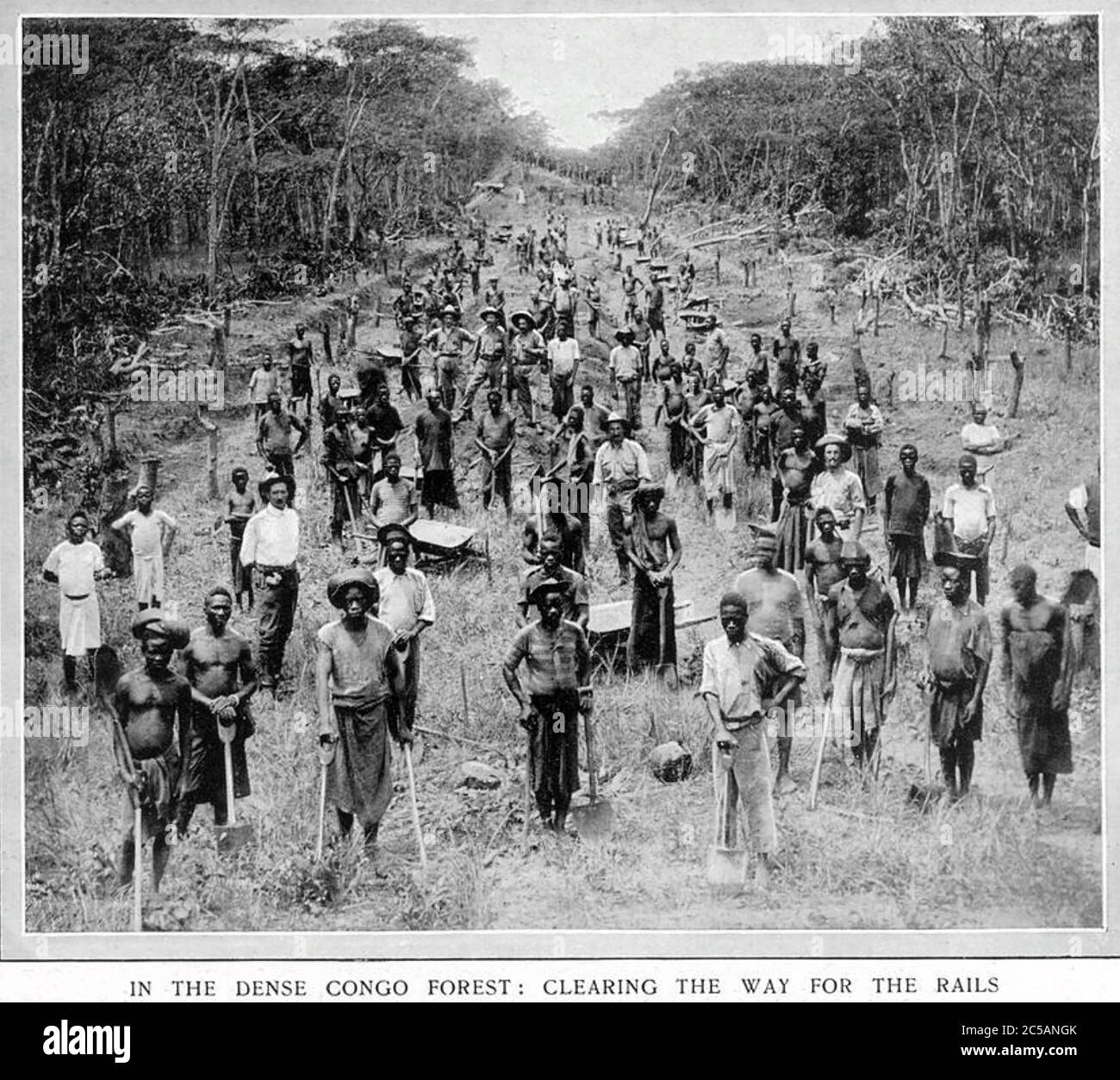 VON KAP NACH KAIRO IM Jahr 1914 haben EISENBAHNER Wälder im Kongo geräumt Stockfoto