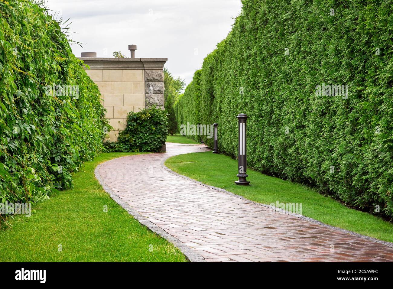 Gehweg entlang der Wiese und Hecke von der Busch Thuja im Hinterhof mit  eisernen Boden Laterne, Sommertag nach Regen Stockfotografie - Alamy